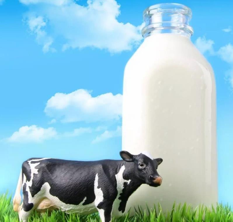現(xiàn)代多掃描金屬探測(cè)器在乳制品方面“不傻”